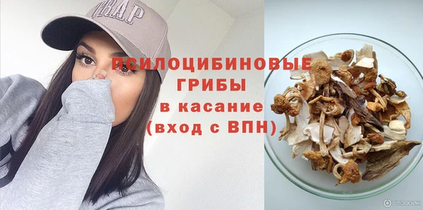 мдпв Кинешма